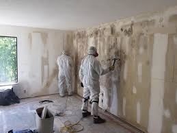 Best Water Damage & Mold Remediation  in Christopher, IL